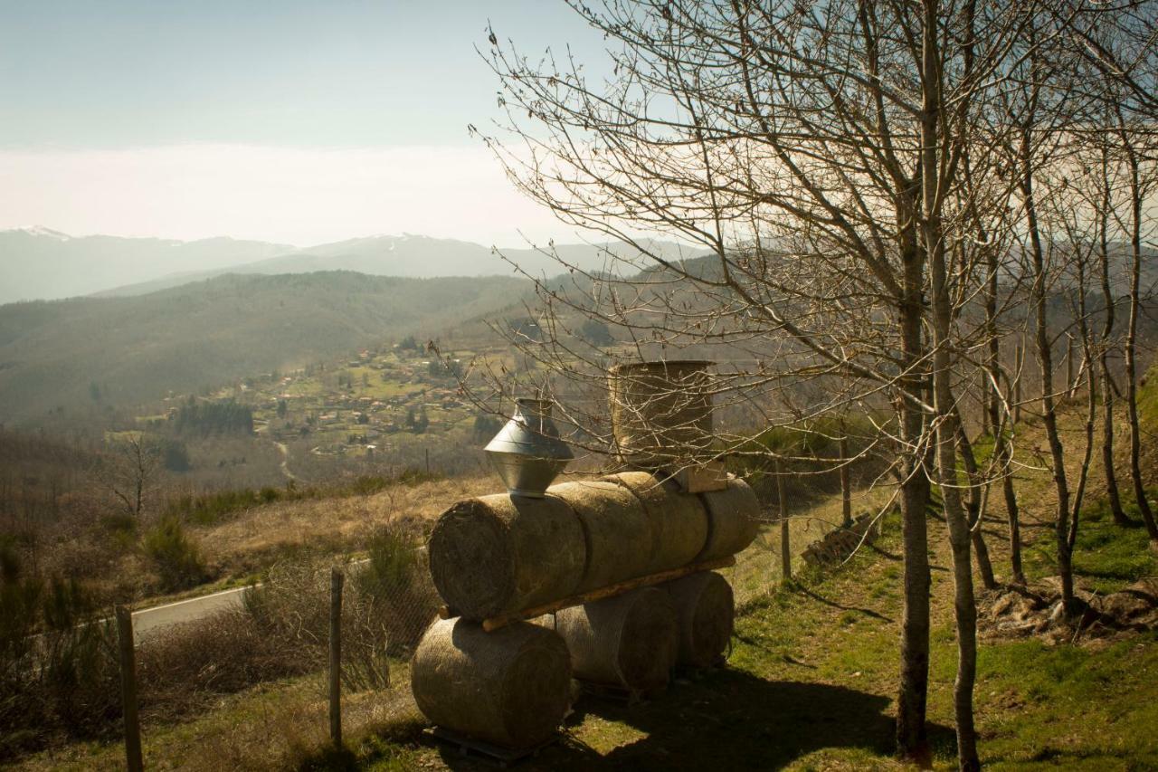 B&B Vista Casentino Pratovecchio Eksteriør bilde