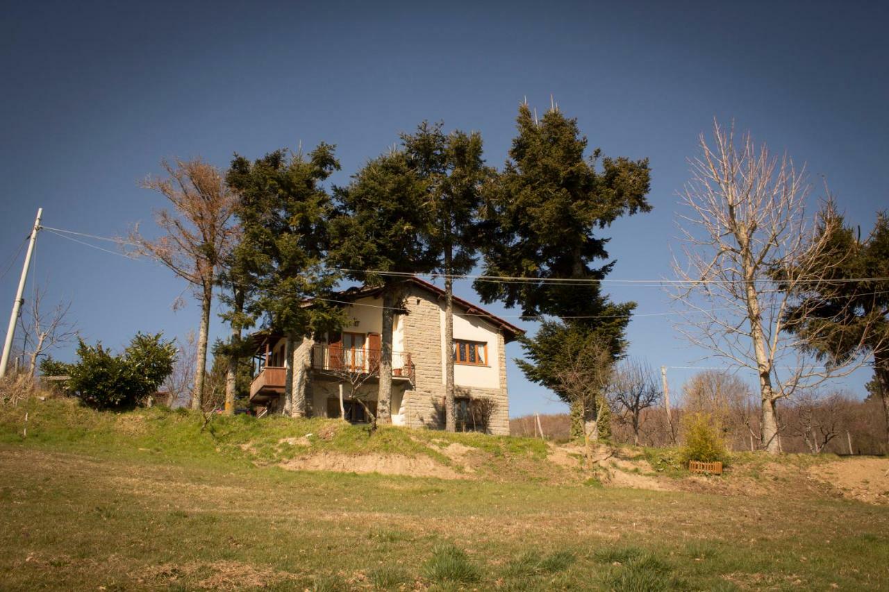 B&B Vista Casentino Pratovecchio Eksteriør bilde