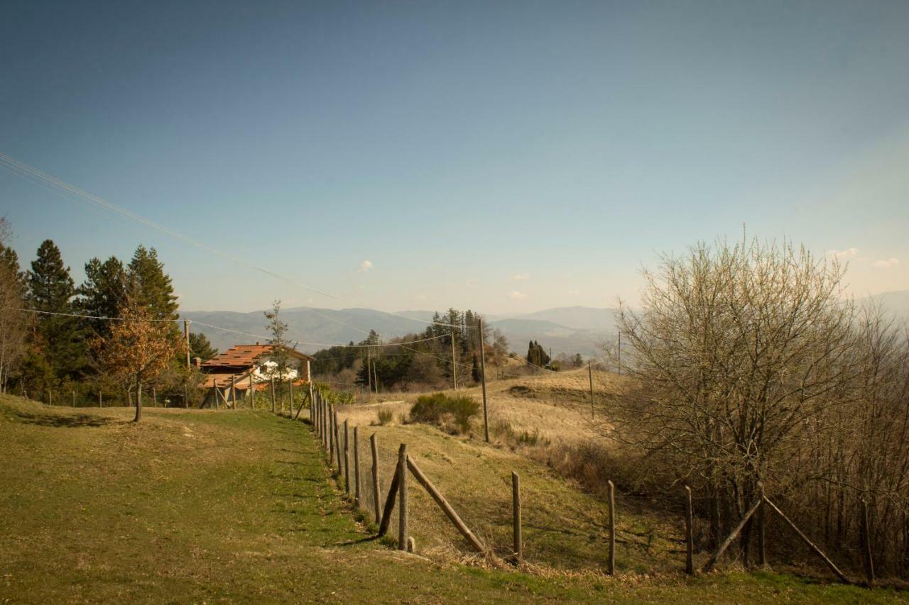 B&B Vista Casentino Pratovecchio Eksteriør bilde