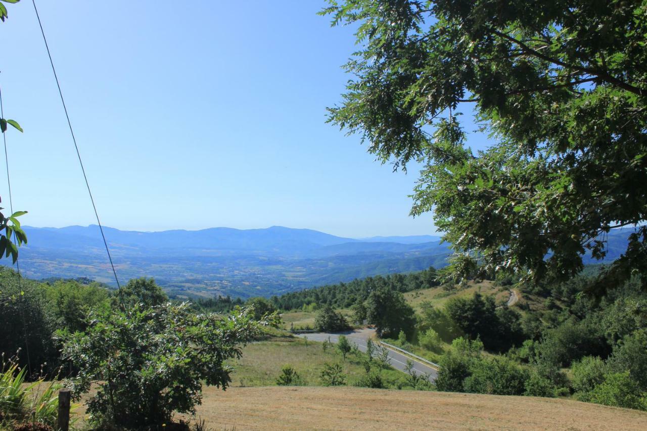 B&B Vista Casentino Pratovecchio Eksteriør bilde